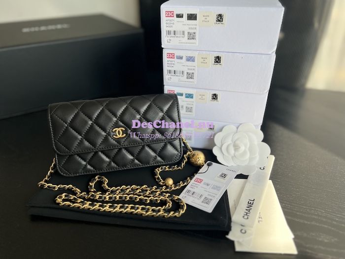 Replica Chanel 23C Wallet On Chain WOC Lambskin Bag with Charm AP3071