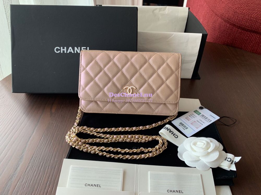 Replica Chanel Iridescent 19s CC Wallet On Chain WOC AP0315 Pearly Bei